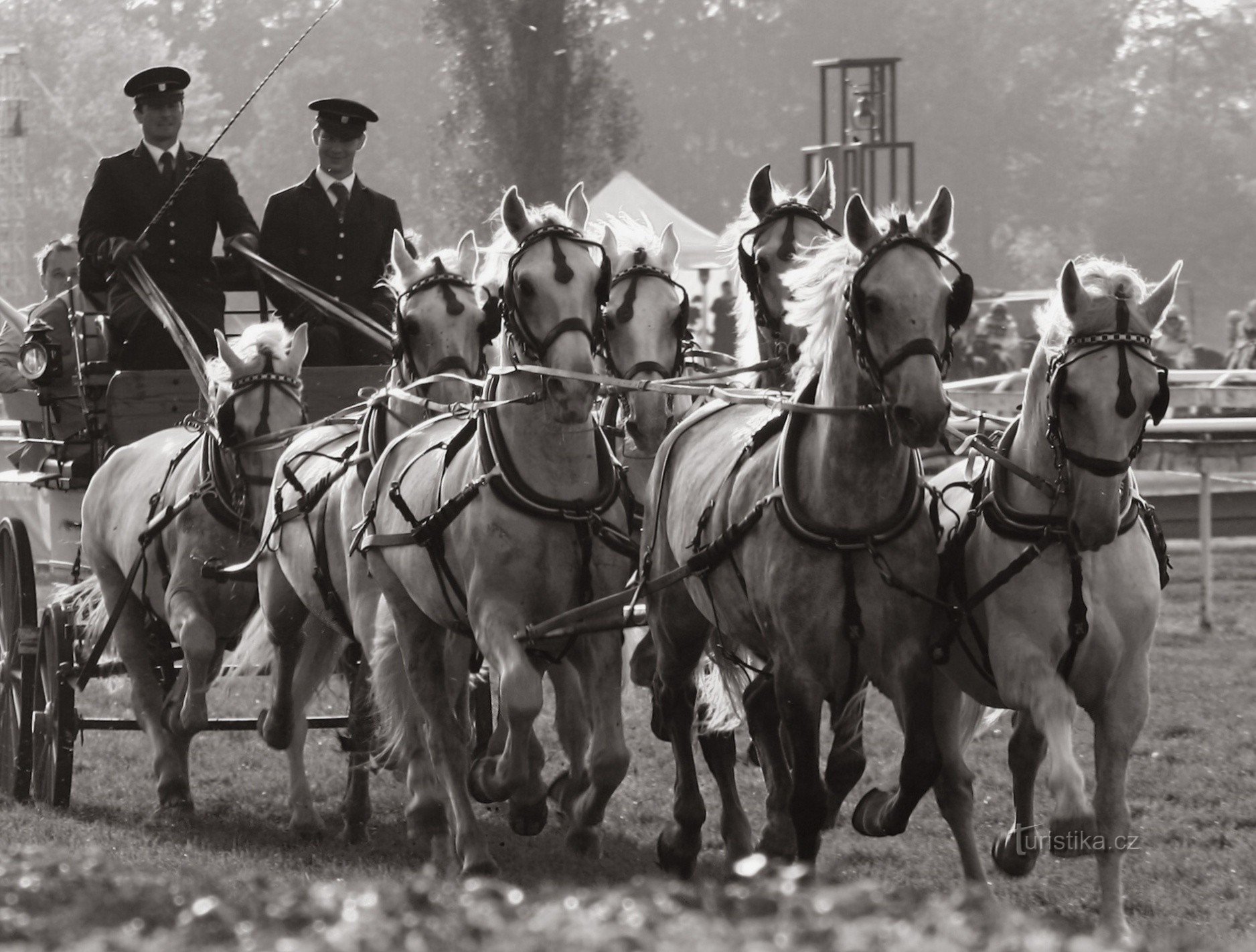 124. Velká Pardubická - 12 octobre 2014