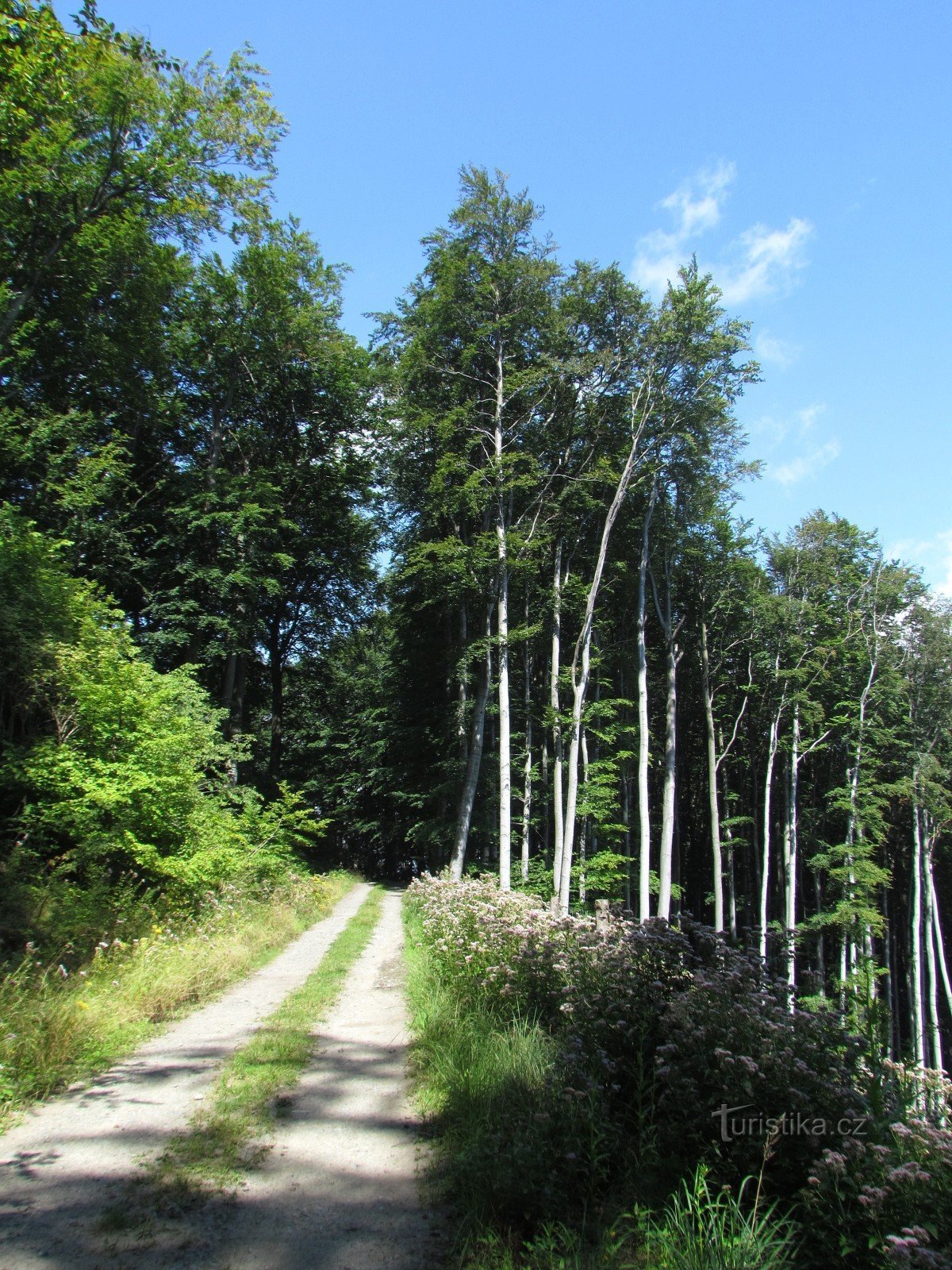 A 150 m du carrefour du château de Křídlo