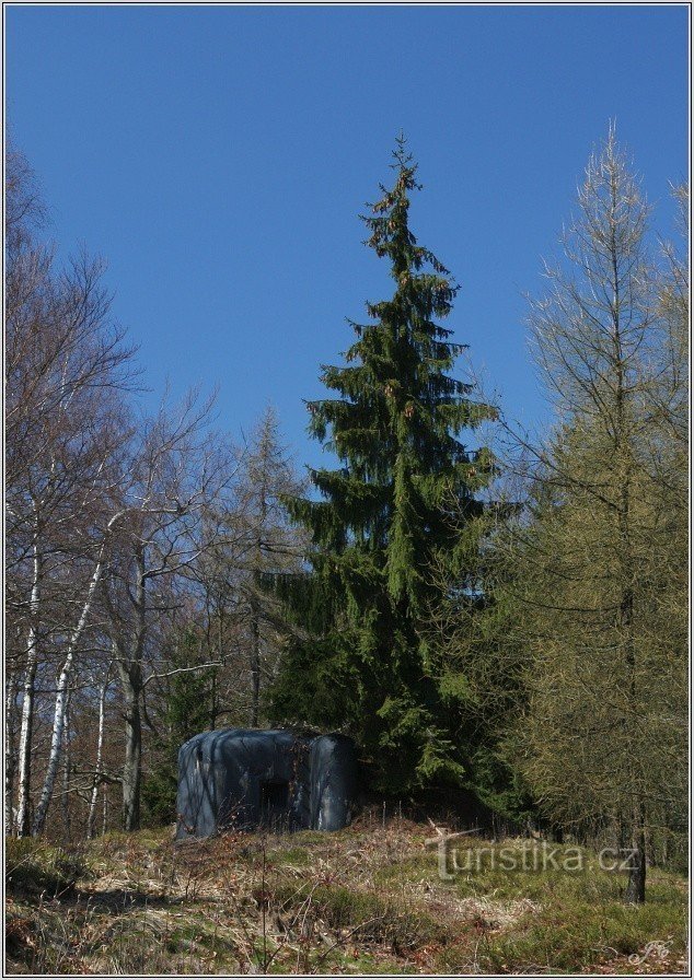 2-Bunkier pod Kolčarką