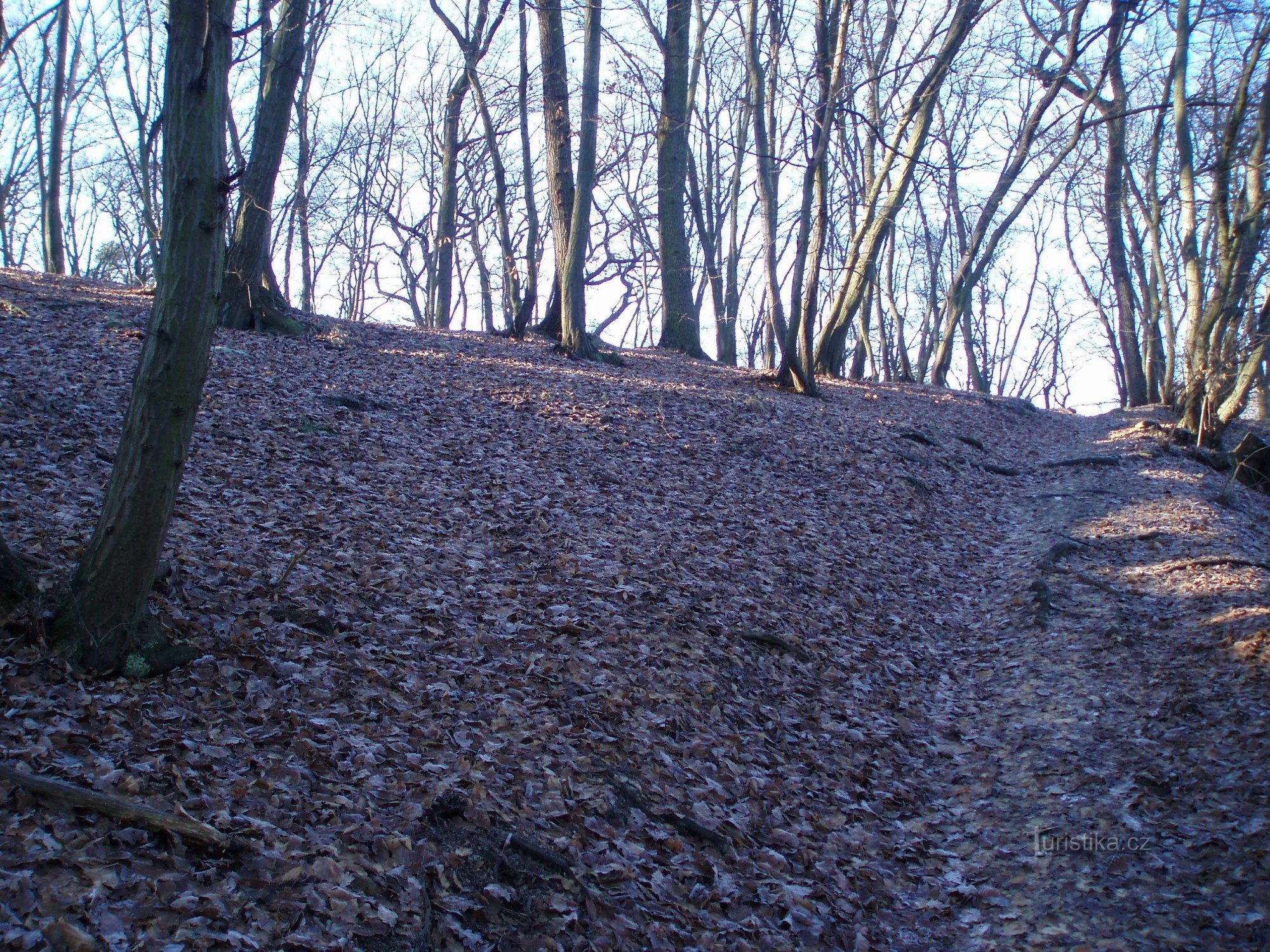 2 Straße zum Schloss von Oparno