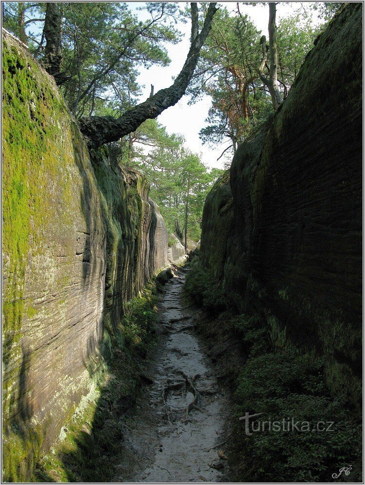 2-岩石中的路