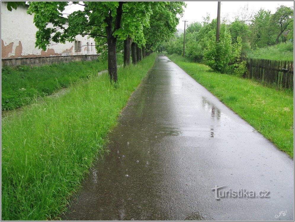 2- Carretera desde Lázní Bělohrad. Lilo...