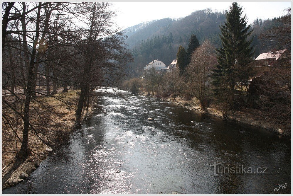 2-Aigle sauvage à Potštejn