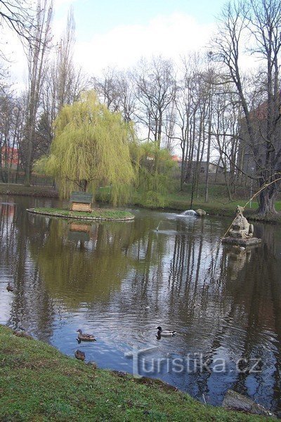 2. Même les canards courent ici...