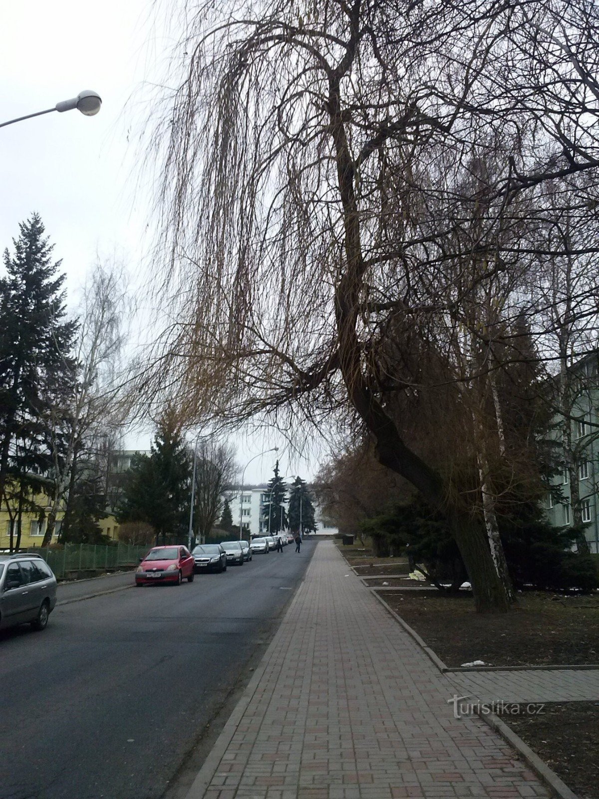 2. Hodim po ulici Jaselská proti gozdnemu parku