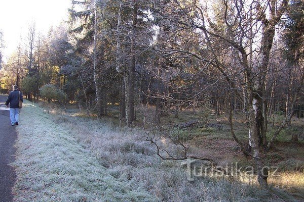 2. There is a lot of frost - the grass is completely white.....