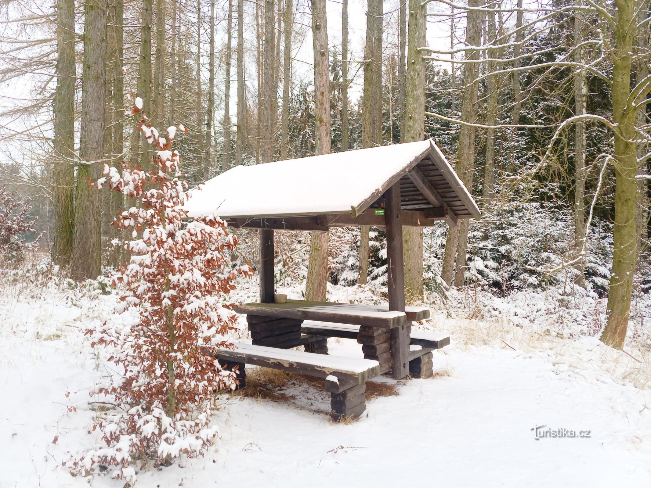 2. Die einzige Schutzhütte auf der Strecke