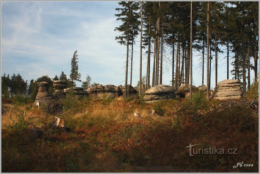 2-Stone mushrooms above Slavný