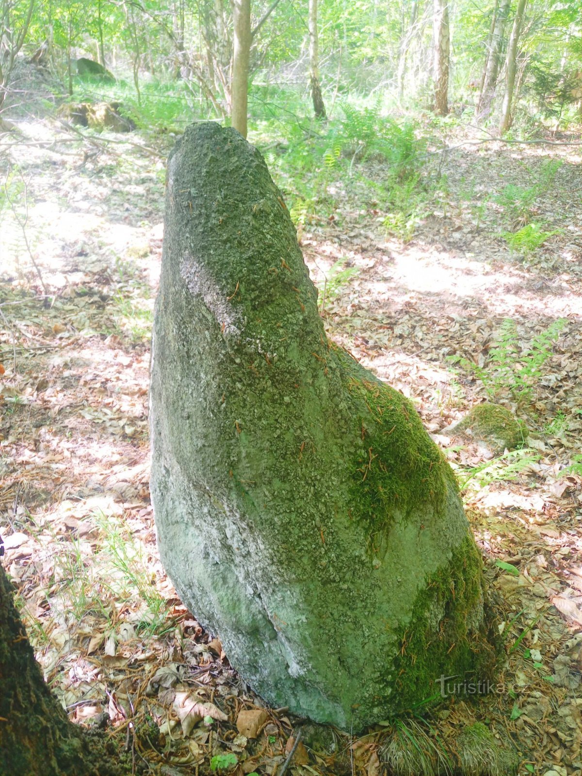 2. Menhir Homole II，HM2