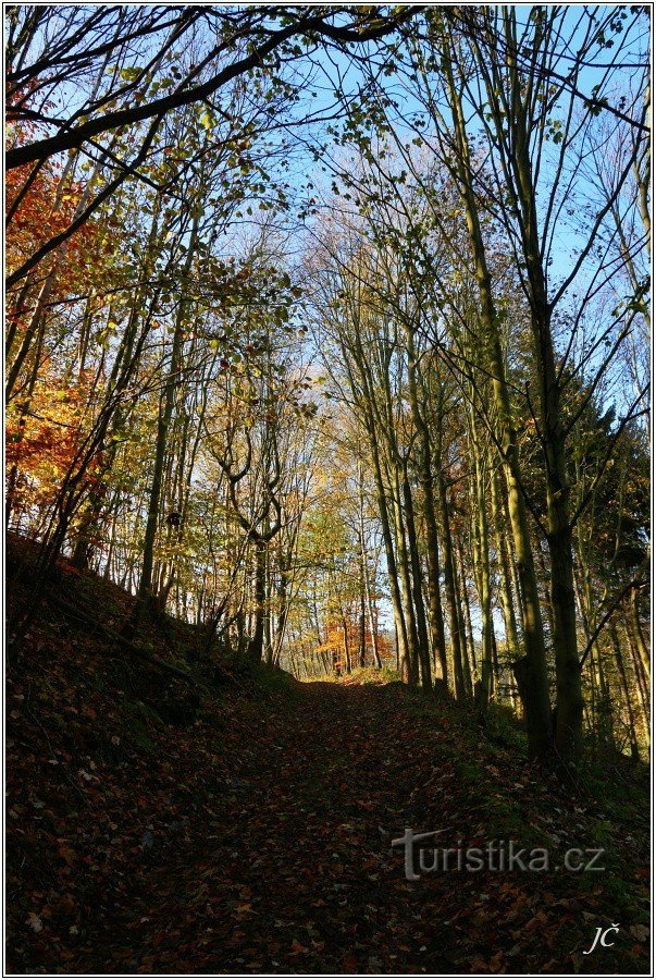 2-Above Teplice nad Metují