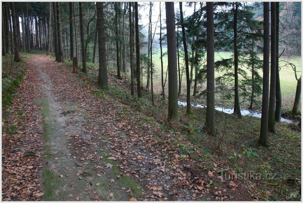 2 - Above the Válovický stream