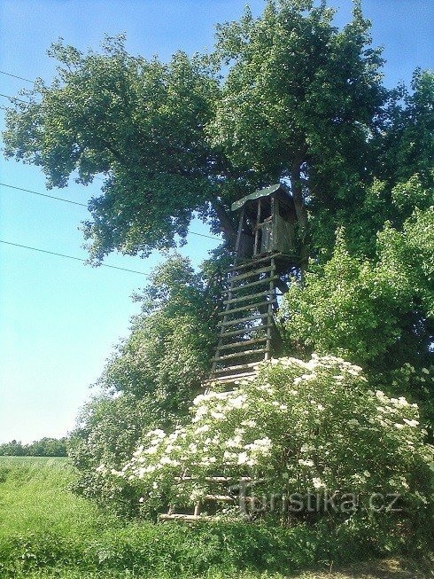 2. an inconspicuous perch provides shelter in bad weather to many a homeless person