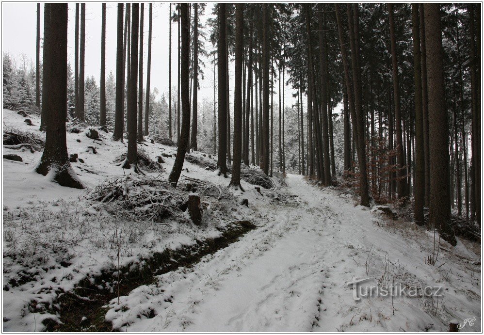 2 - Pod Hradiskem, een pad door het bos
