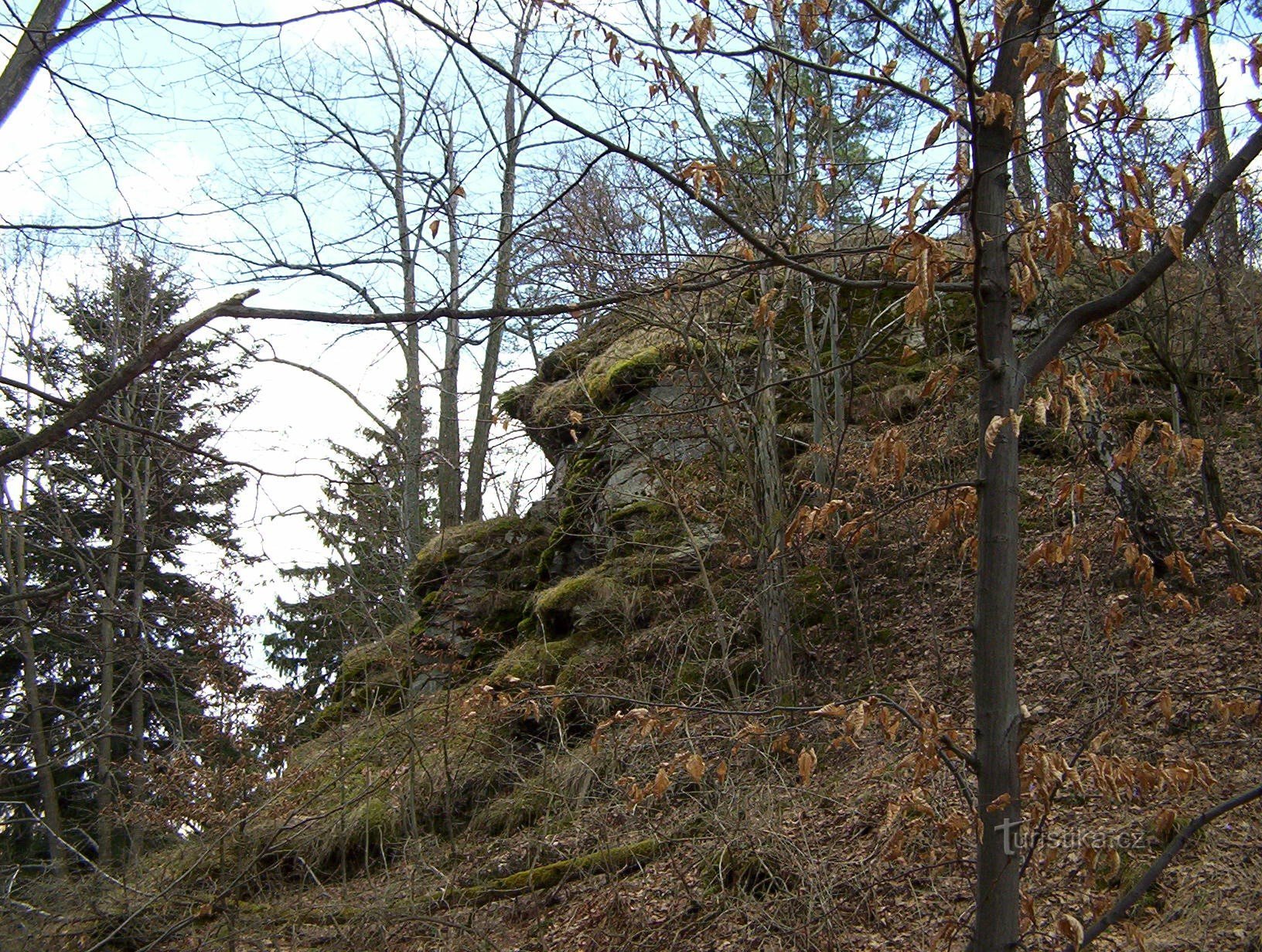 2. View of the remains of the Menagerie castle.