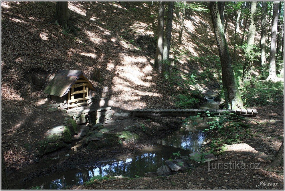 2-La sorgente del torrente Špinka