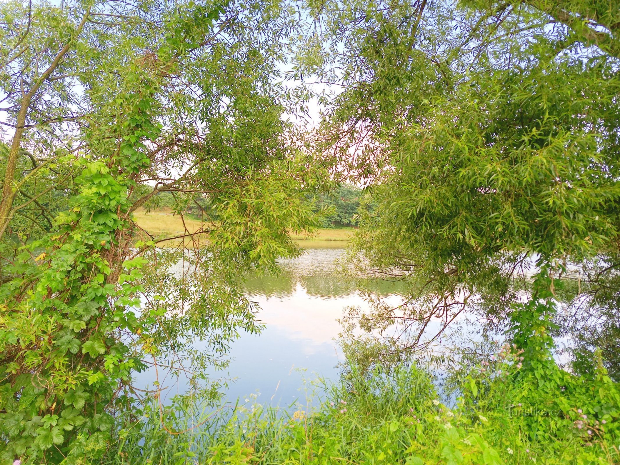 2. Tầm nhìn ra mặt nước của Hồ chứa Sedlčany