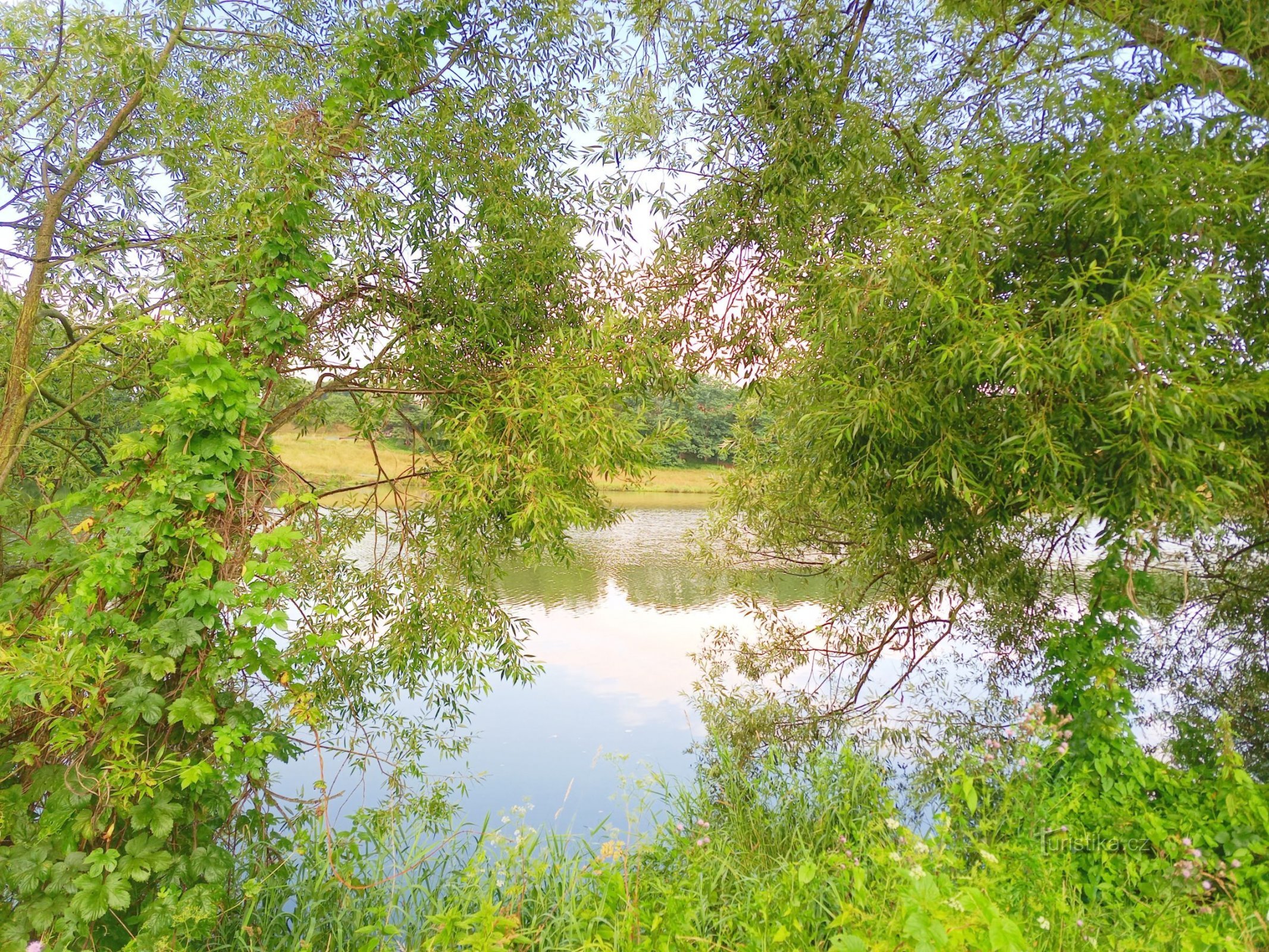 2. Blick auf das Wasser des Stausees Sedlčany