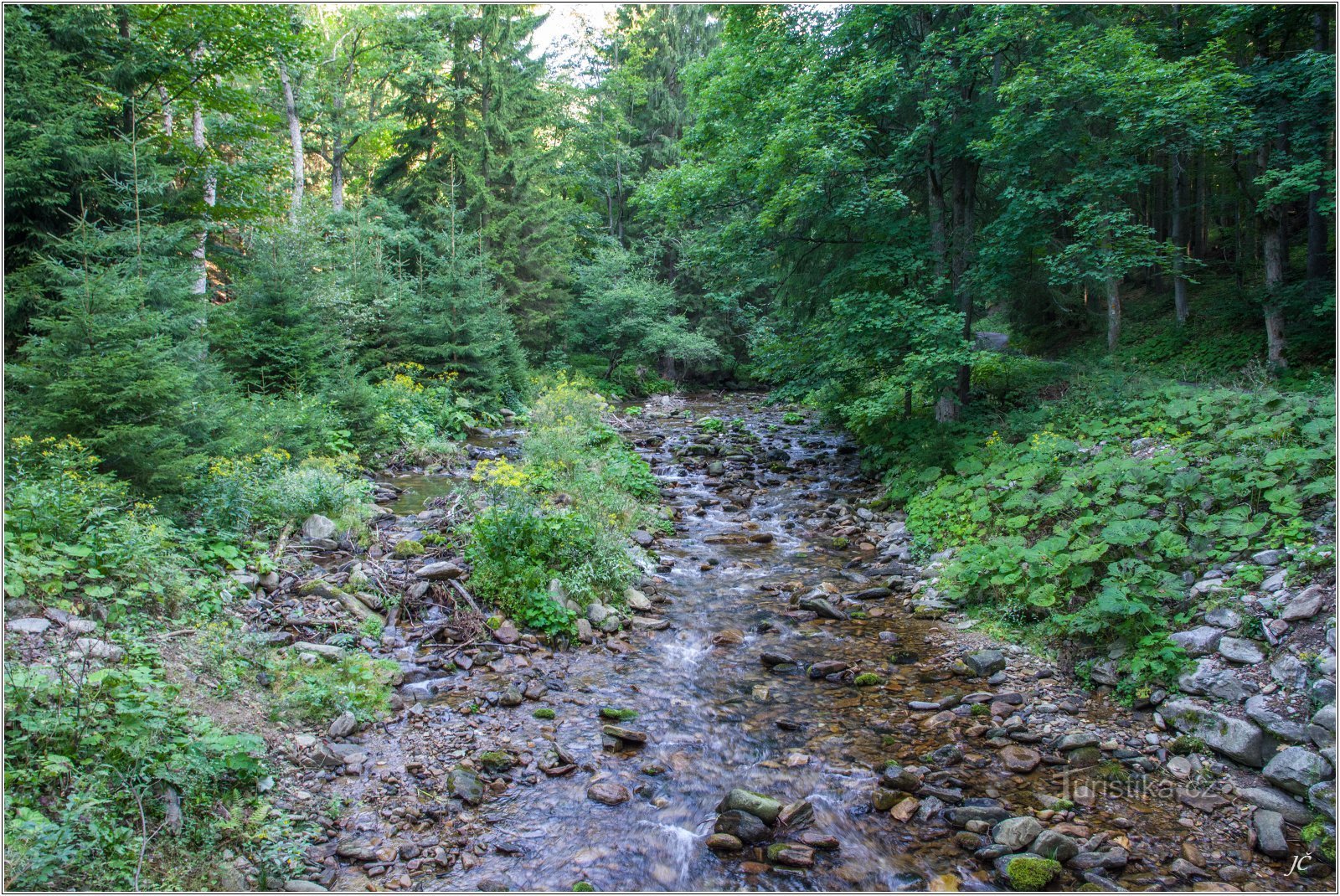 2-River Morava in the drought of 2018 somewhat without water.