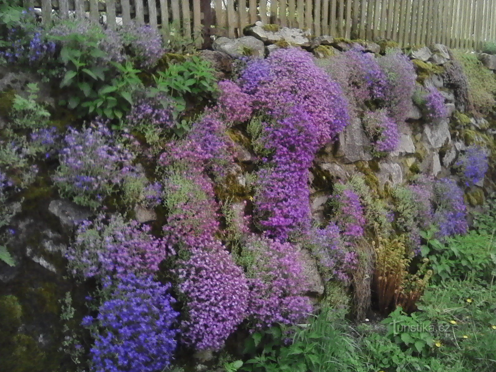 2. Blooming terraces around the path.