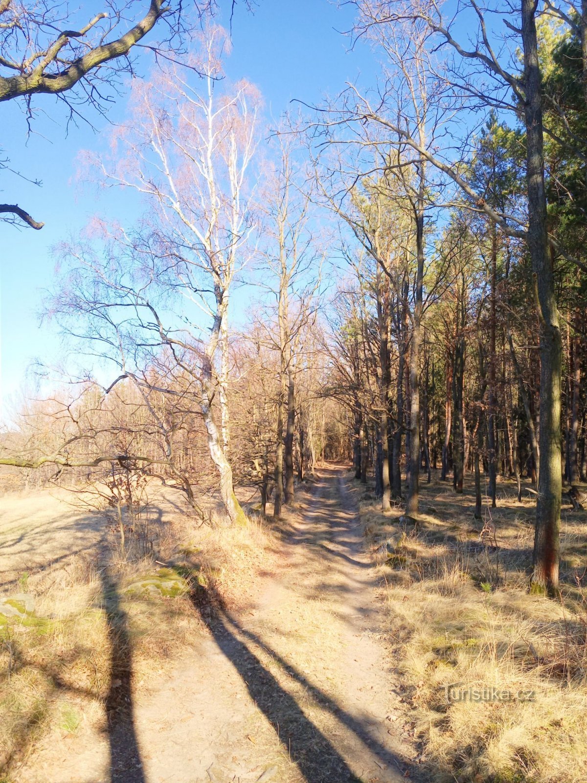 2. Ich bin durch eine schöne Landschaft gelaufen