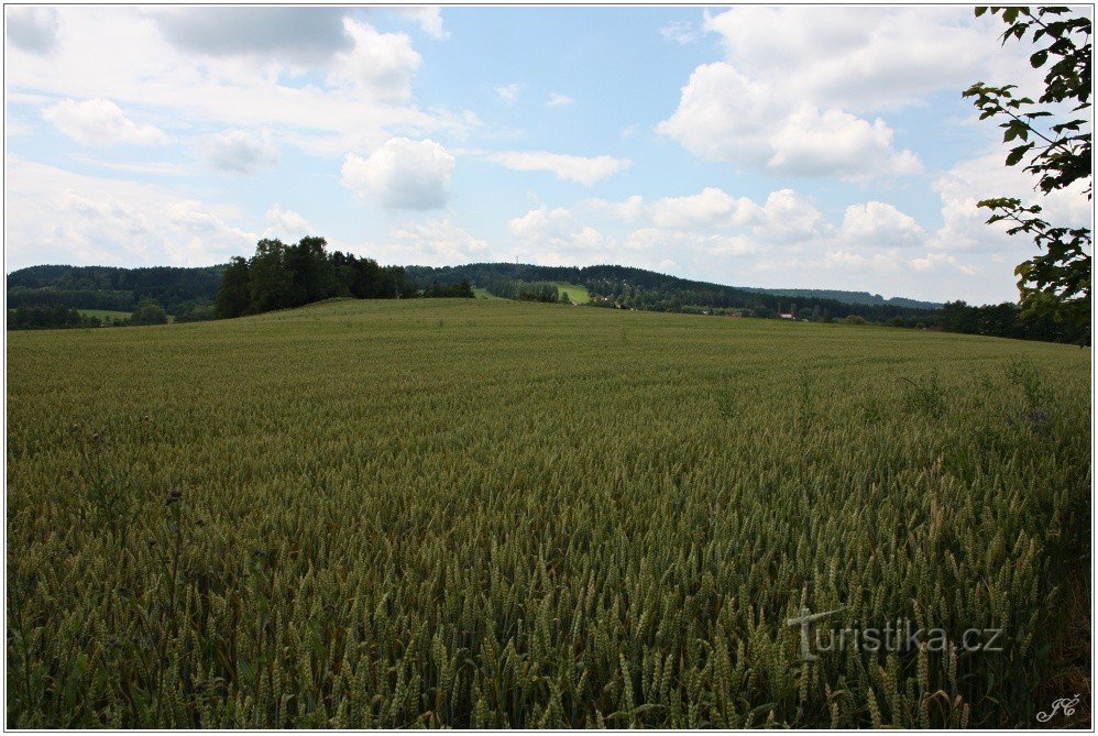 2-Trhová Kamenice, kilátás a temetőből