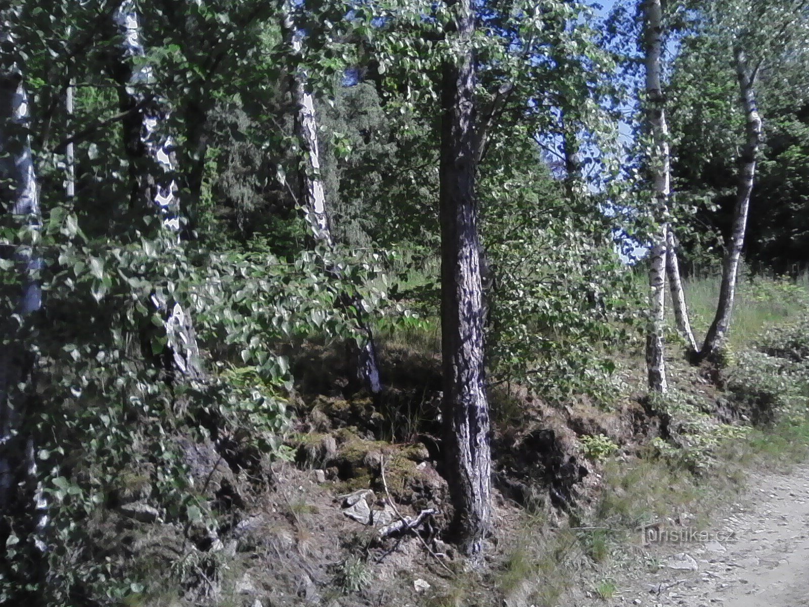 2. Ich erklimme bereits die Hügel zur Javorová skála.