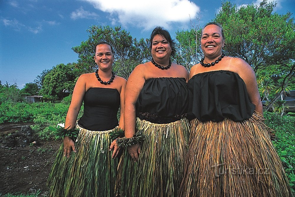 3.11. Tal av Jiří Kolbaba, Chornice: Det här är Hawaii!