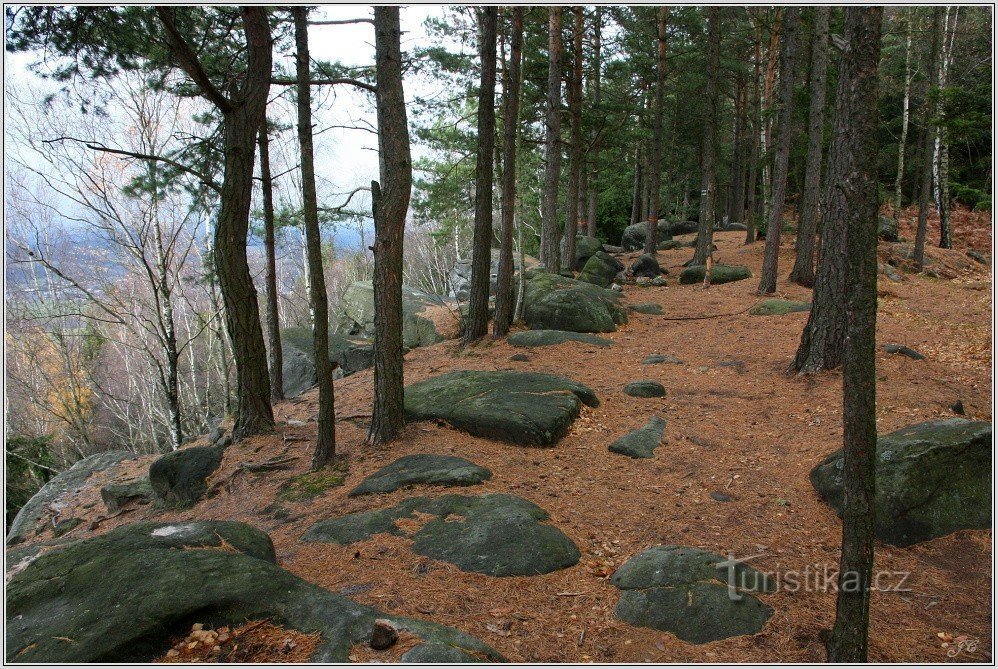 3-Piedras de Cižek