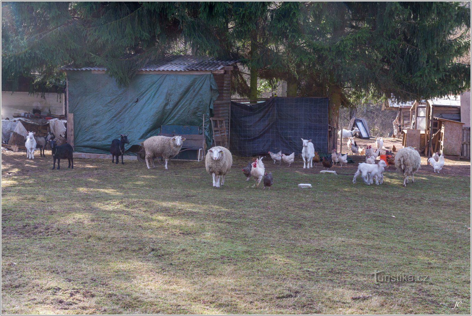 3-Boerderij aan de rand van Bernarty