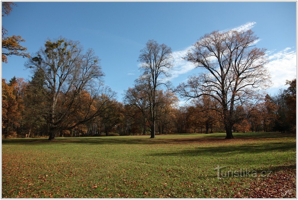 3-Hluboká nad Vltavou, park dvorca