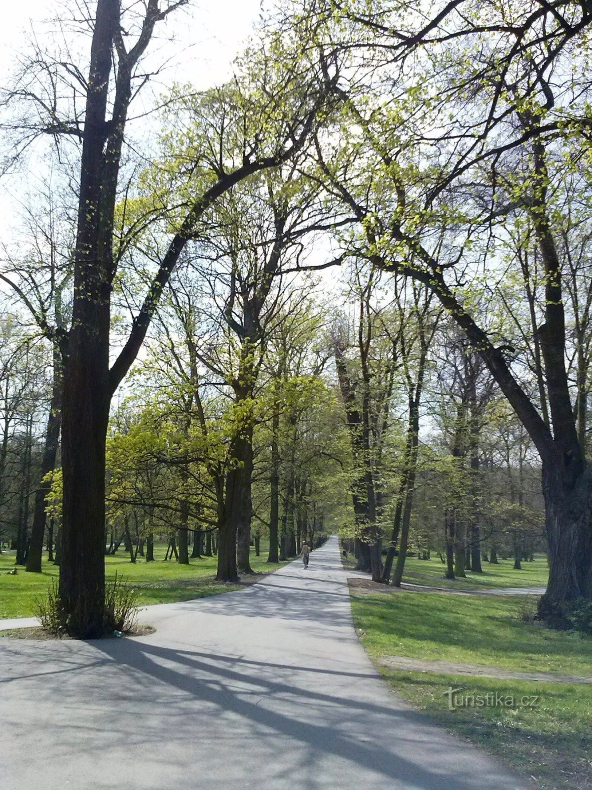 3. Einer der Wege im Park