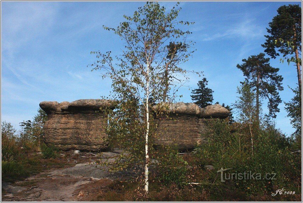 3-Stone mushrooms above Slavný