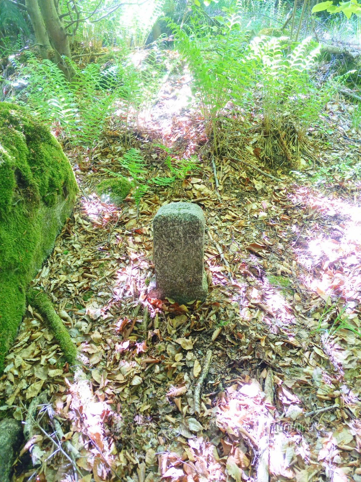 3. Kamienny pomnik z wygrawerowanym krzyżem w lesie