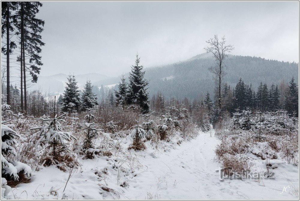 3-Nad Debrný, widok na Bradlo