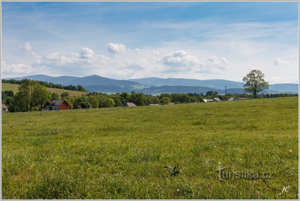 3-Au-dessus de Lichkov, vue vers le massif de Králický Sněžník