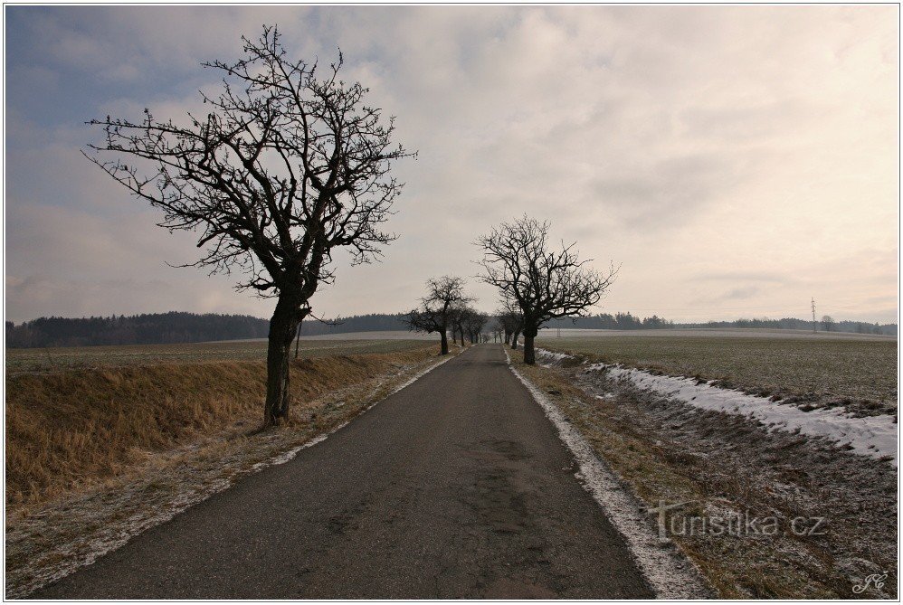 3-Nad Vamberkem, Weg zur Hütte Vyhlídka