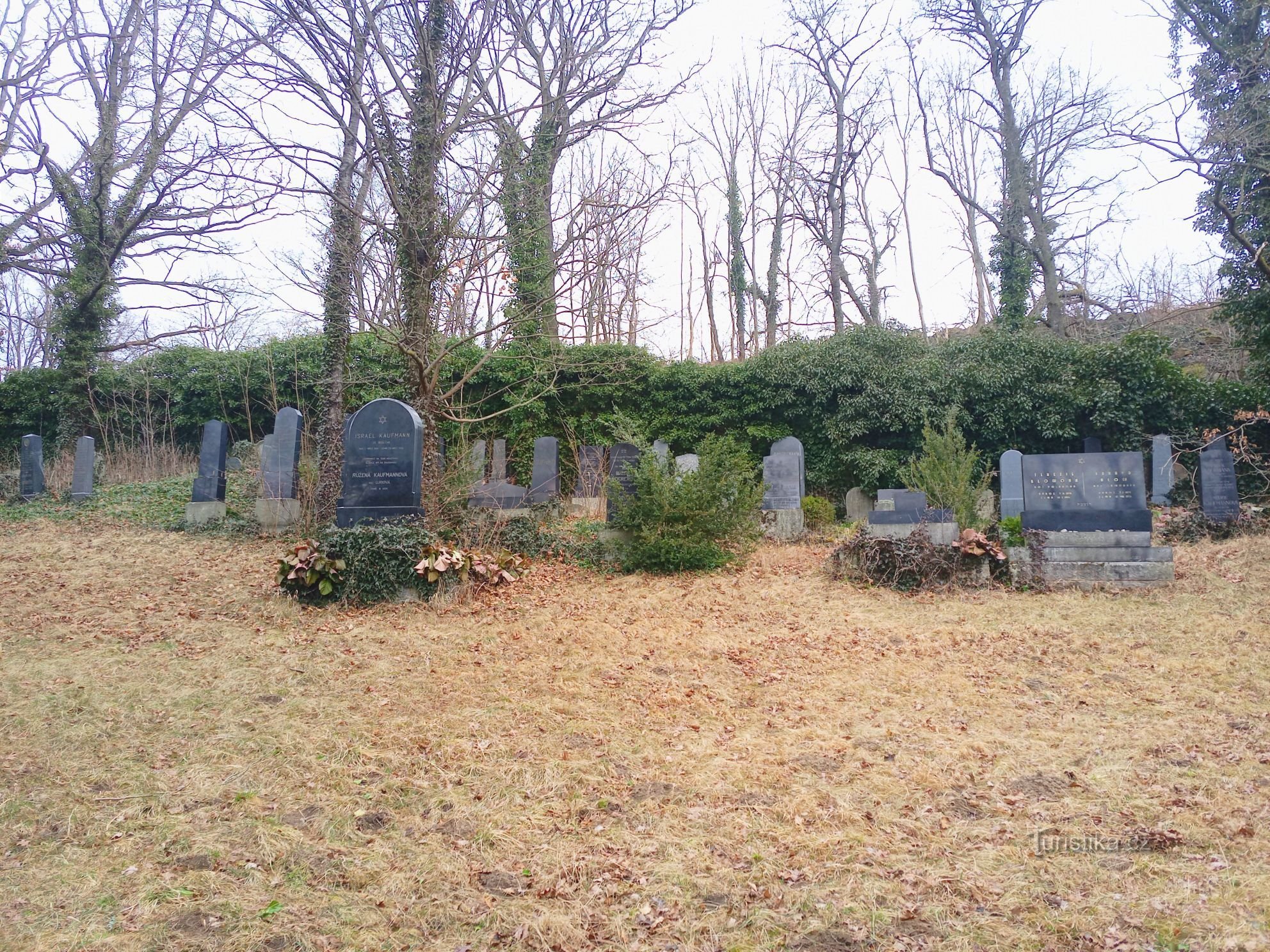 3. Вид на часть кладбища