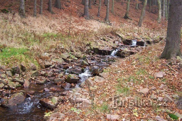 3. Струмок ще супроводжує нас..