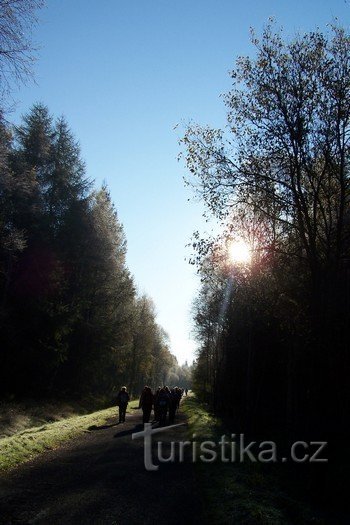 3. Solen skiner i dina ögon...