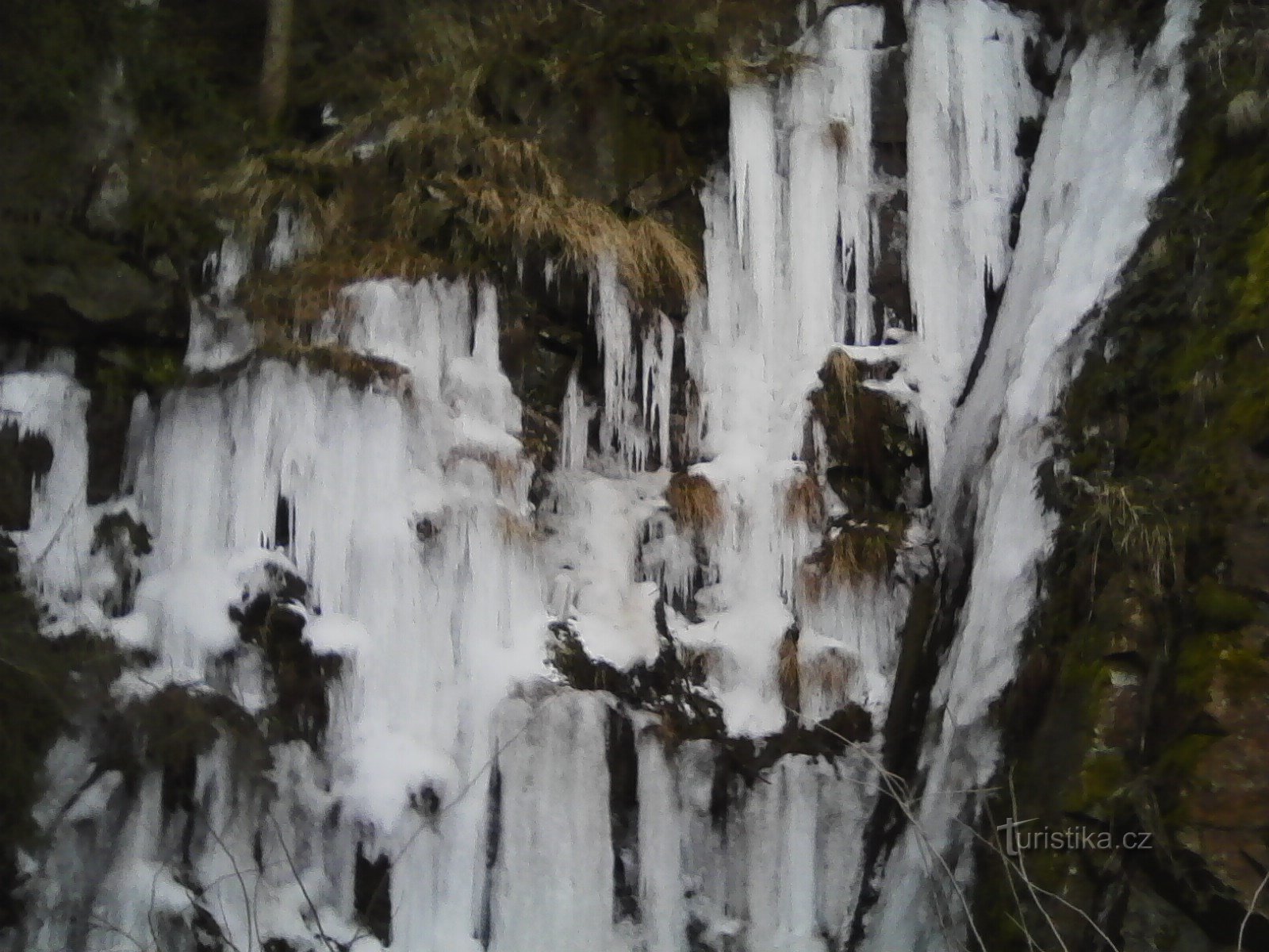 3. Es hielo, temí que ya estuvieran derretidos