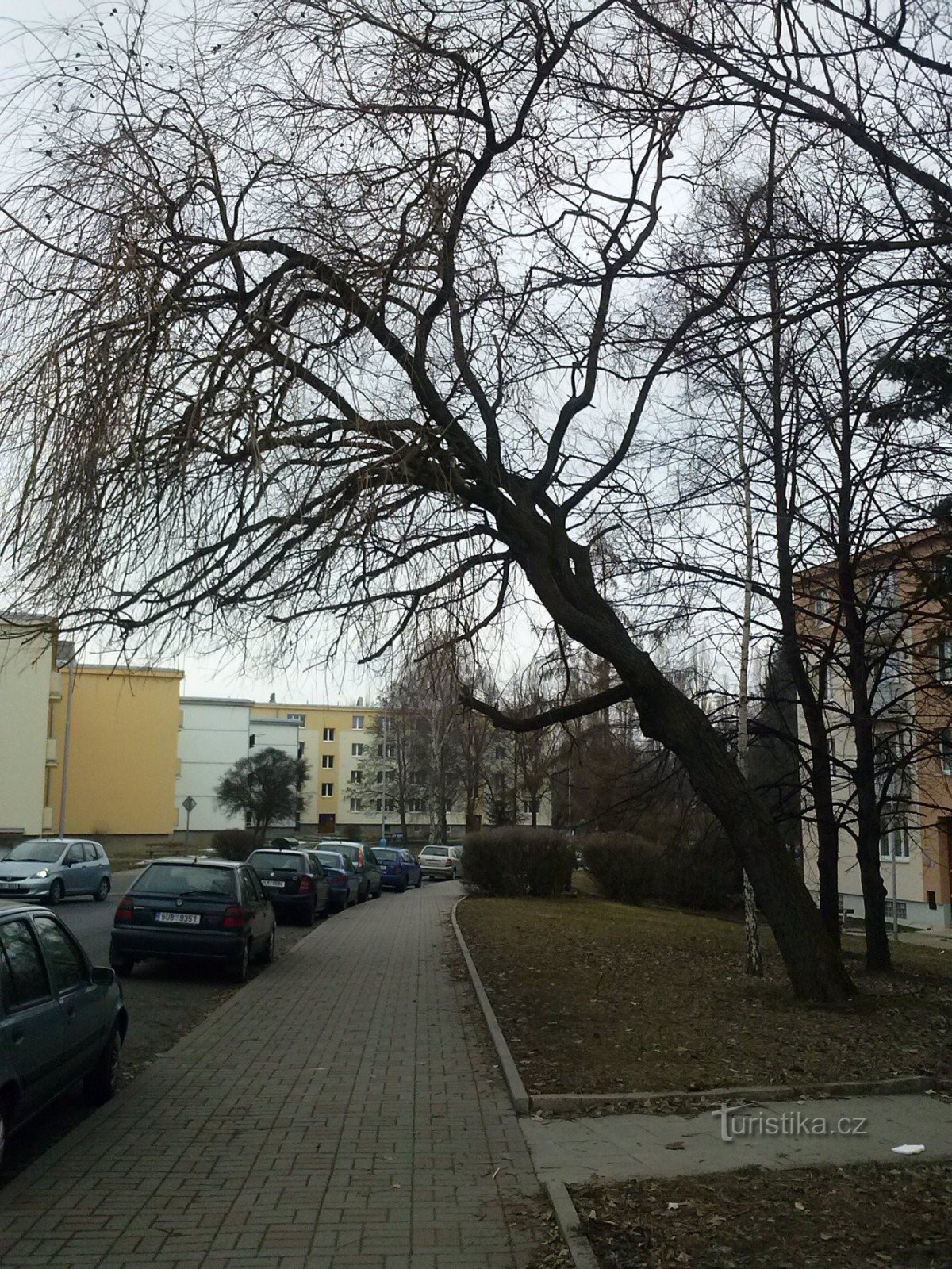 3. Jag svänger in på Buzulucká gatan...