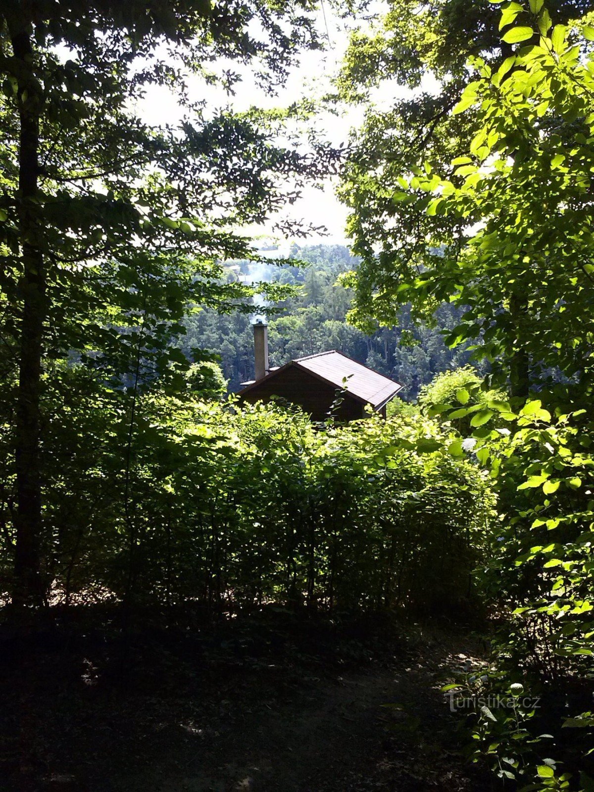 3. Uma cabana aparece no meio da vegetação