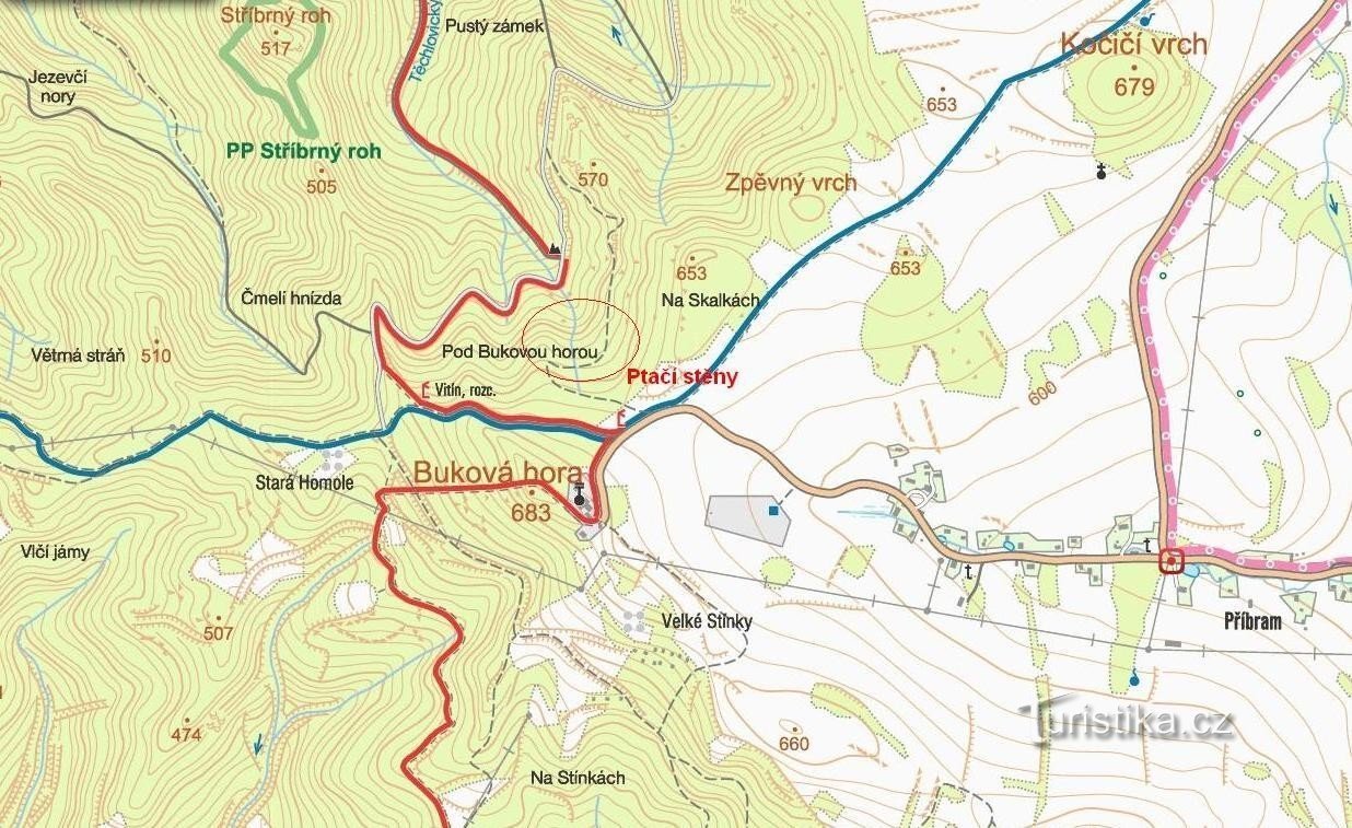 41. OSTATNIA - ŚCIANY PTAKÓW