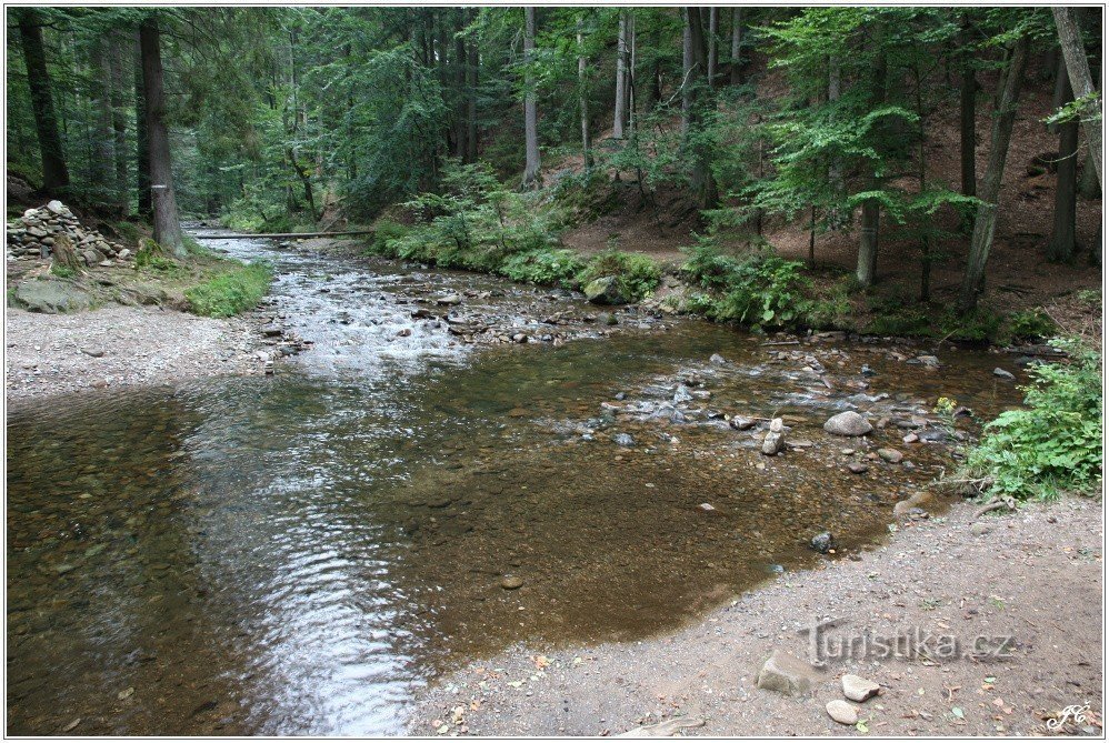 8-Confluence de Zdobnice et Říčky