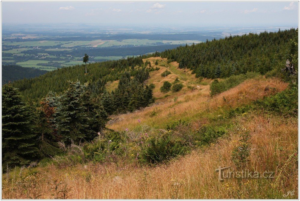 9-Blick von den Hängen von Smrk auf Frýdlantsko