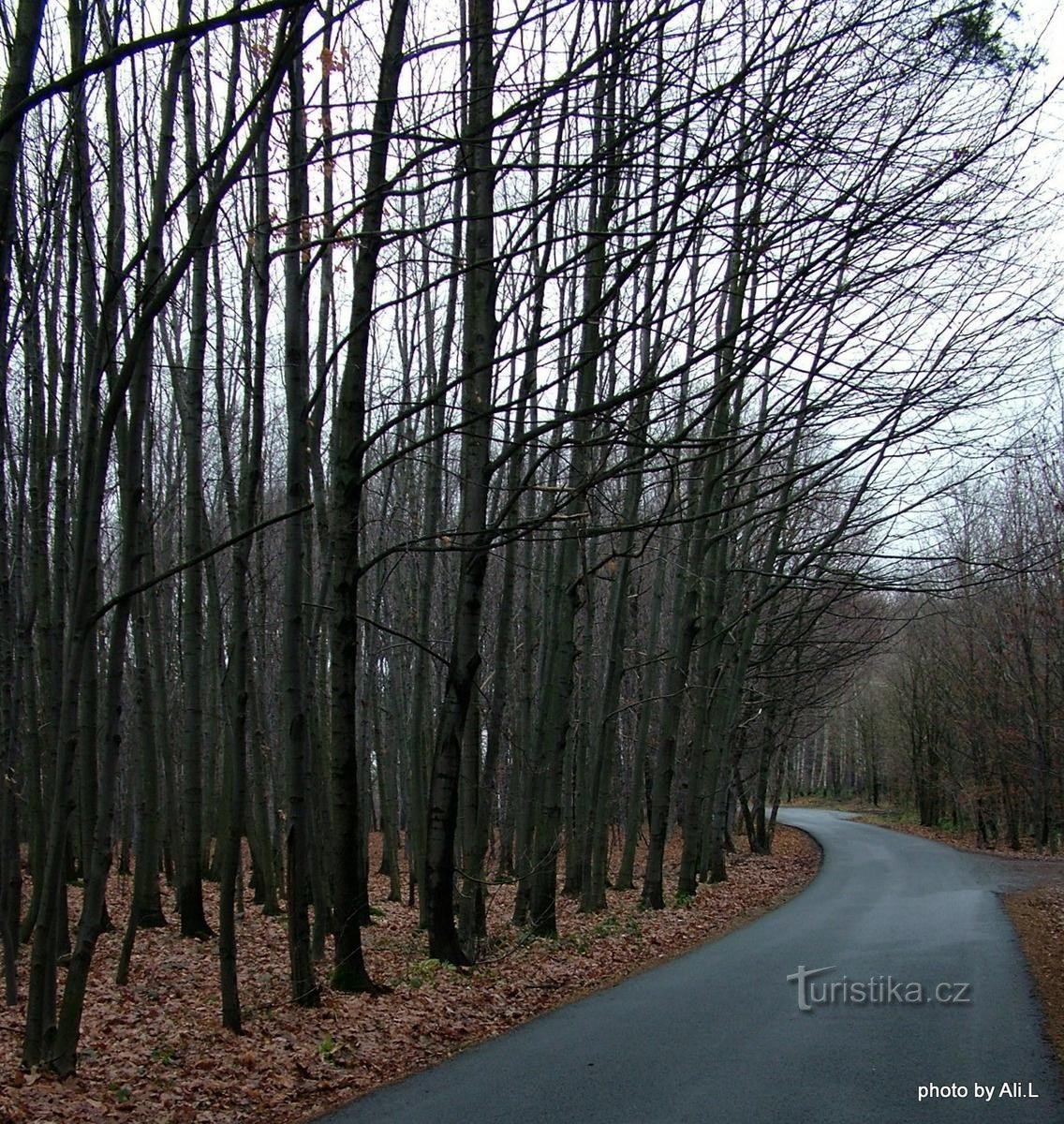 ... e eu continuo andando, estaremos lá em um momento.