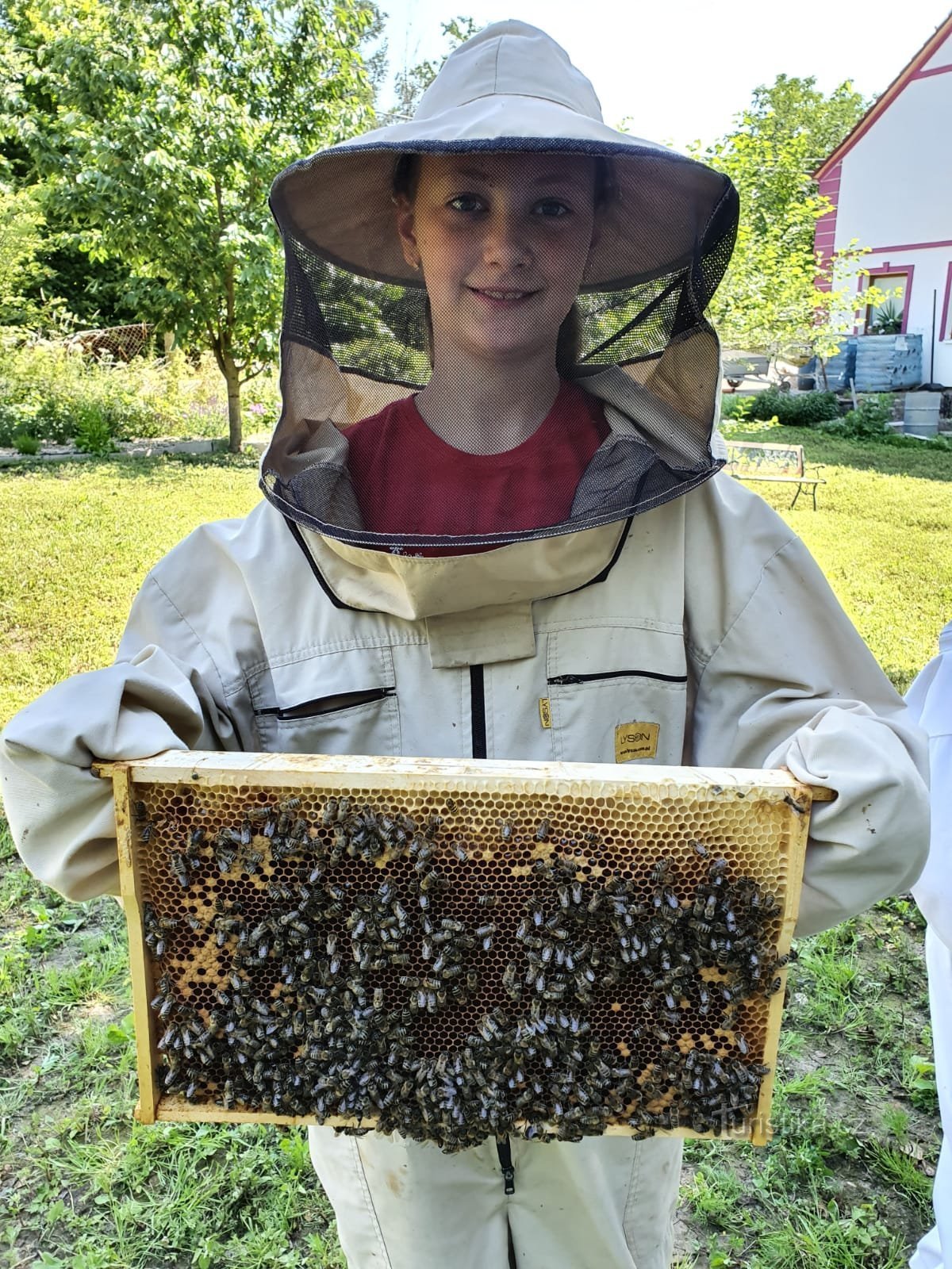 y enterraremos las abejas muy bien aquí, son agradables :)