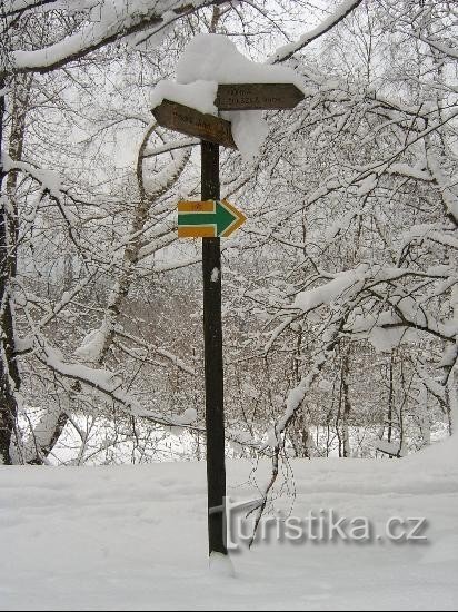 Abeles kohó: St. Vintíř ösvény a kihalt Hůrka falu közelében Šumavában.