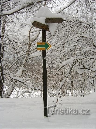 Fonderia di Abele: sentiero di San Vintíř vicino al villaggio estinto di Hůrka nella Selva Boema.