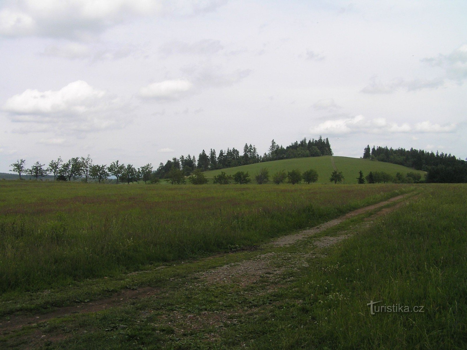 Adam on the way from Mladkovo